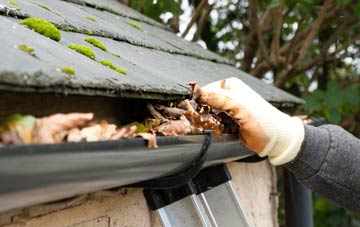 gutter cleaning Western Downs, Staffordshire