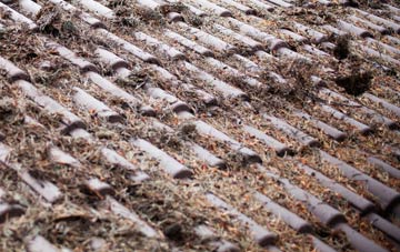 Western Downs roof cleaning companies