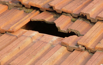 roof repair Western Downs, Staffordshire
